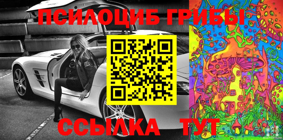 Туймазы  Псилоцибиновые грибы MAGIC MUSHROOMS  Псилоцибиновые грибы Cubensis  Вход с VPN 